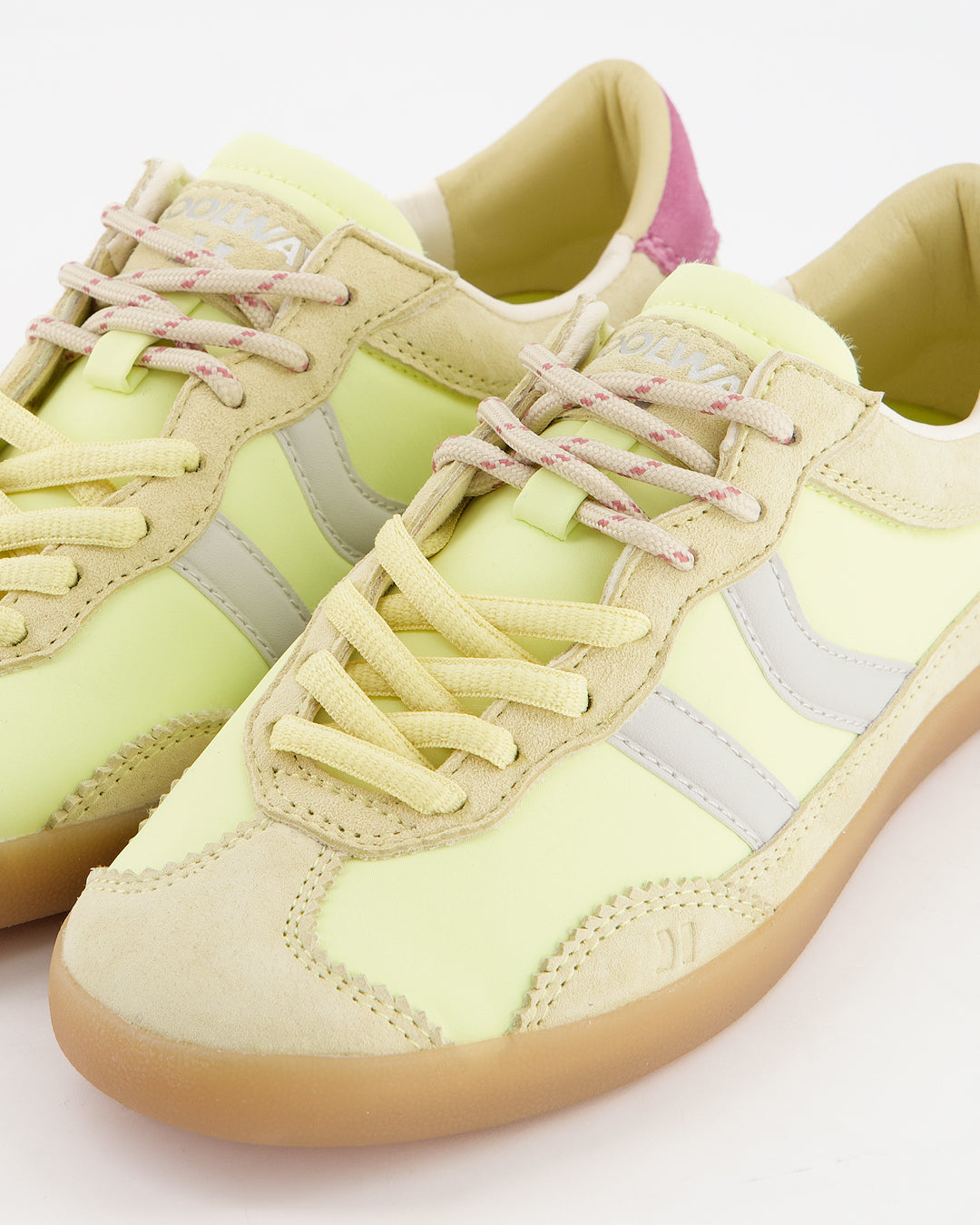 Kizuna Sunflower Glow